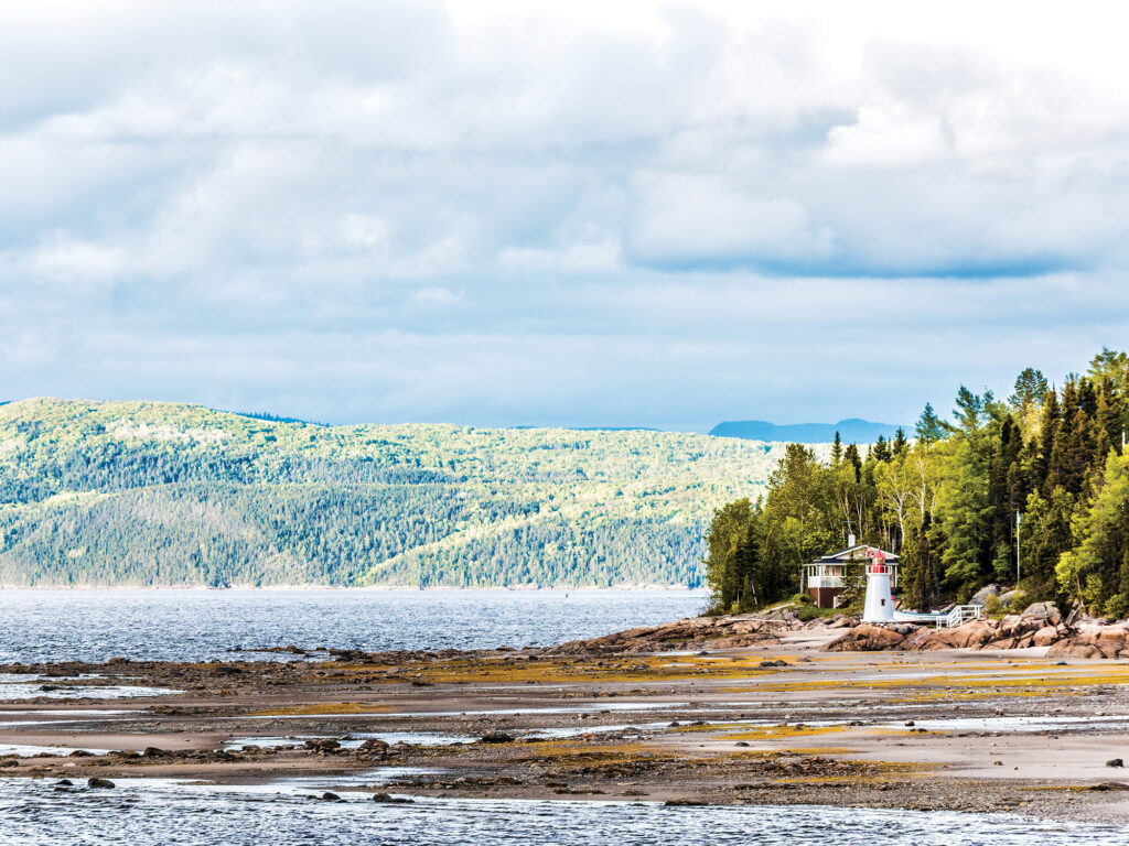 Fjord coast nature near Saguenay river