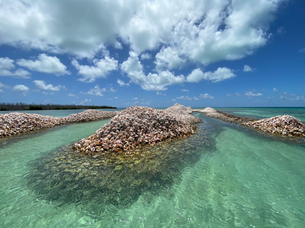 Conch Island