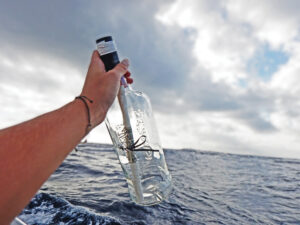 Empty whiskey bottle