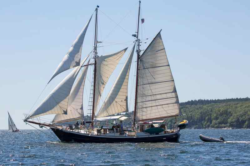 charter