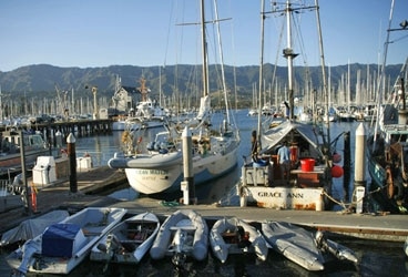In Santa Barbara, Ocean Watch was harbor bound for several days waiting for north winds to subside.