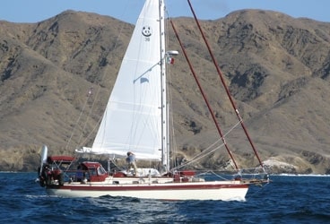 Panda 38 368 The Panda 38 is built like a piece of fine furniture, and the boat¿s sea-kindly motion will take care of you in a blow offshore.