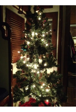 I love all five feet of this sweet PVC tree. Not bad for the saloon on a 44-foot boat!
