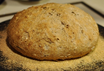 The bread is always a 50-50 mix of whole wheat and unbleached white flour. But to each loaf I add things such as seeds and rosemary. This loaf has oats and  ground flax meal in it.