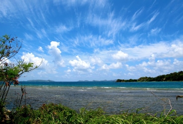 Windtraveler- BVI
