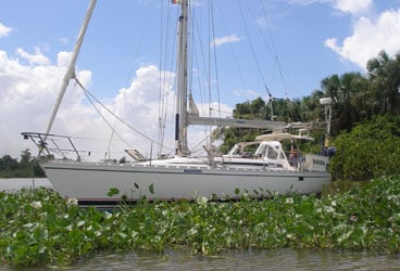 The author's Beneteau 38, Bagheera, is surrounded by blue-flowering water hyacinths that come and go with the tide of the waterways of the Orinoco Delta.
