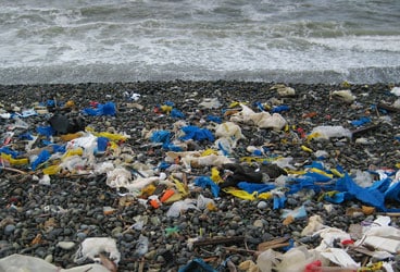Trash and plastic During an expedition around North America and South America to raise awareness of the state of ocean health, the crew of Ocean Watch frequently encountered scenes like this one, on a beach in Peru.