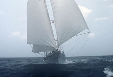 Trade-Wind Rigs Set up for the trades: Lone Star's dual headsails and staysail move the 54-foot ketch right along. The leeward headsail is sheeted through the end of the boom.