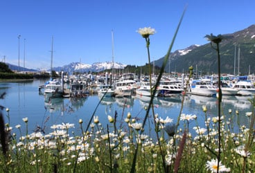 Valdez, Alaska The marina in Valdez, Alaska.