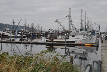 Del Viento- Pudgy Our Pudgy is a bright spot of color on a gray day among the fishing fleet of Neah Bay.
