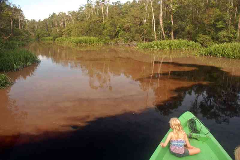 mercury-tainted water in Borneo