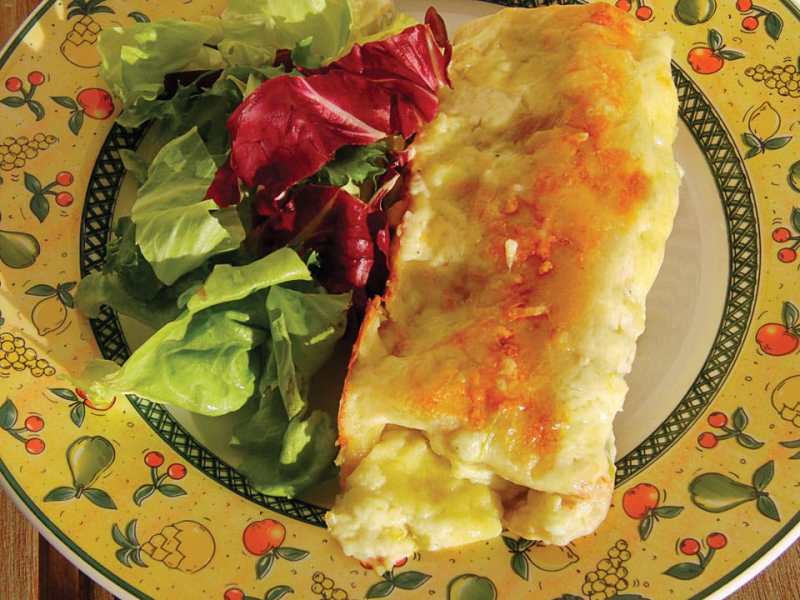 Chicken Enchiladas Chicken Enchiladas