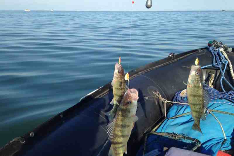 fishing in a dinghy