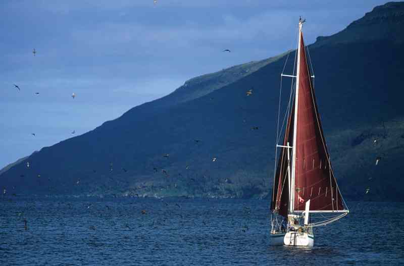 Auckland Islands