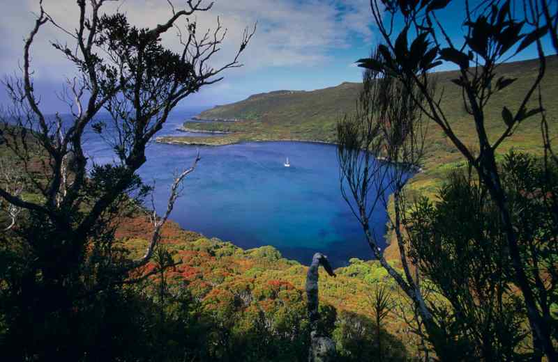 Auckland Islands