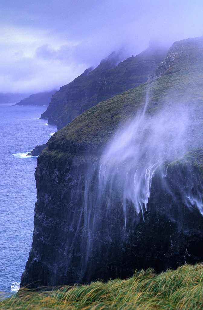Auckland Islands