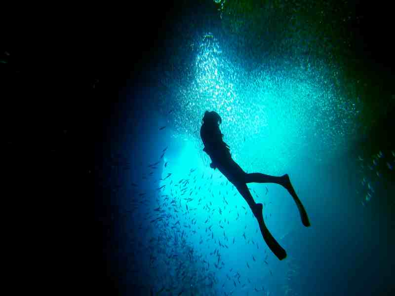 freediving