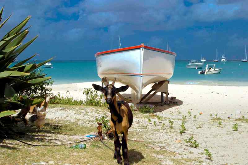 st. maarten