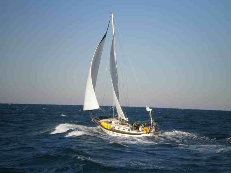 Cabo Rico 38