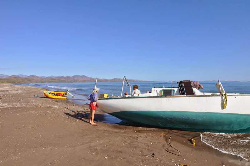 Del Viento, Wendy, Mary