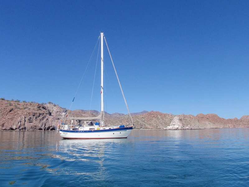 Fantasia 35