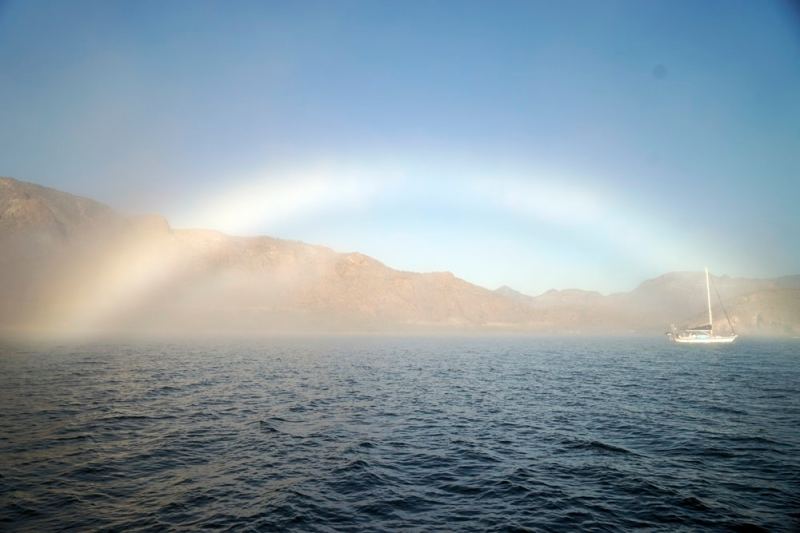 fogbow