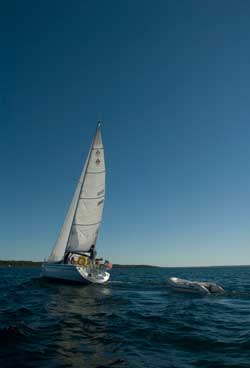 Sailing Destination: Great Lakes/Northern Michigan Sailing Destination: Great Lakes/Northern Michigan