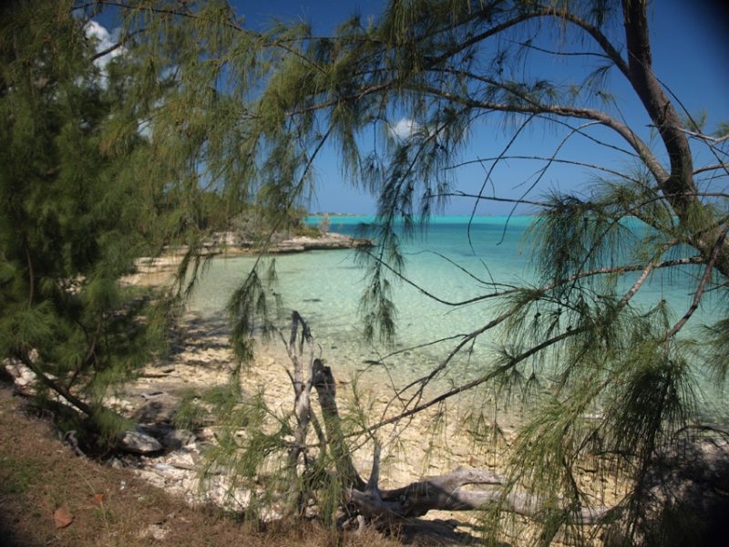 View from George Town, Bahamas Gorgeous view from George Town, Bahamas.