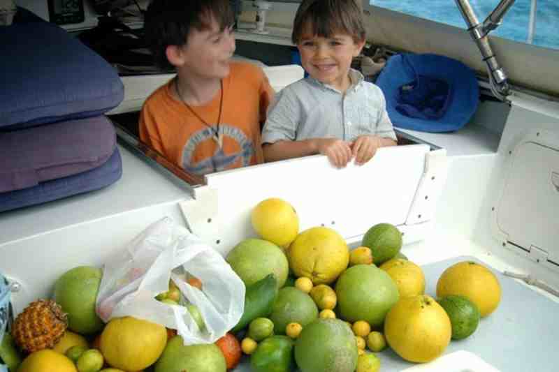 Fruit from Polynesia