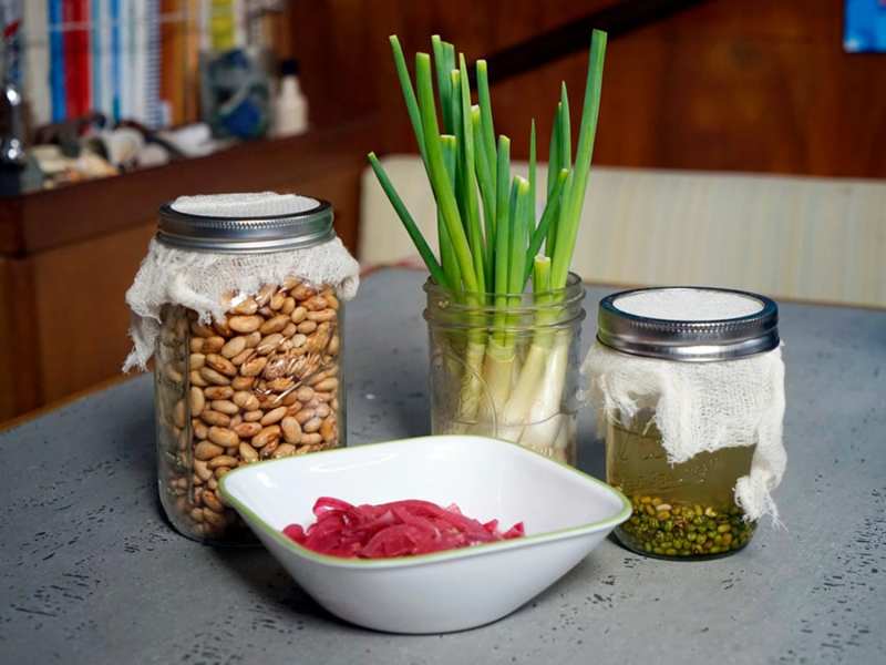 Sprouting beans, pickled onions and re-growing green onions