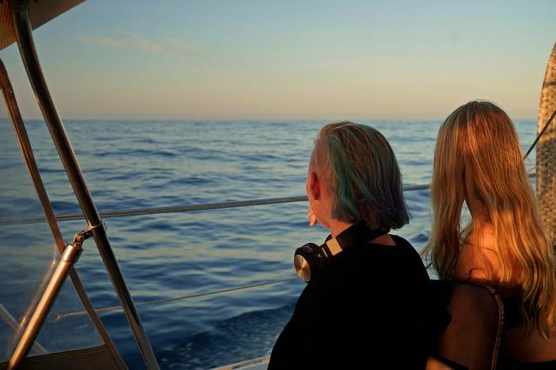 Whale watching