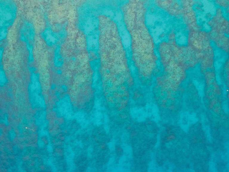 Blue ocean