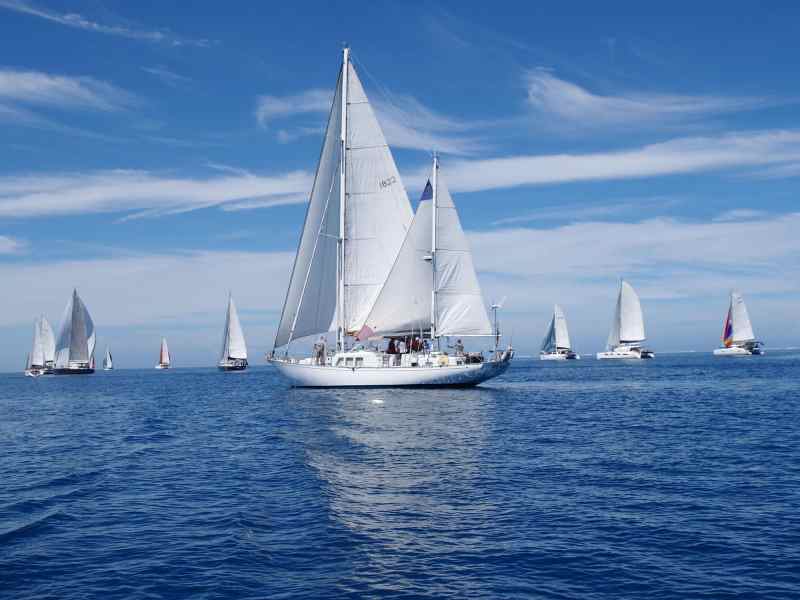 Musket Cove Regatta Sandbar Race