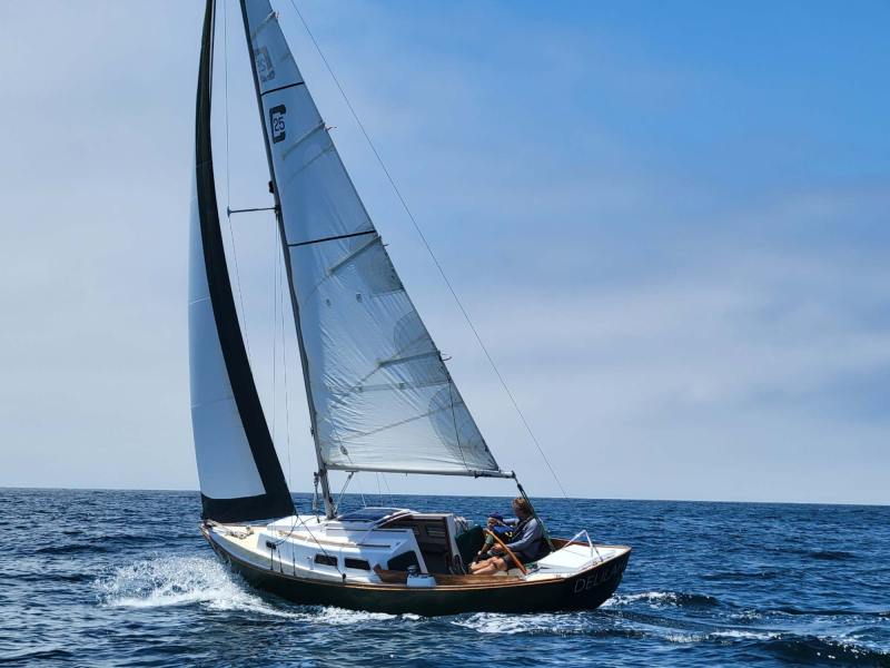 Delilah_Noob_2 Catalina Island