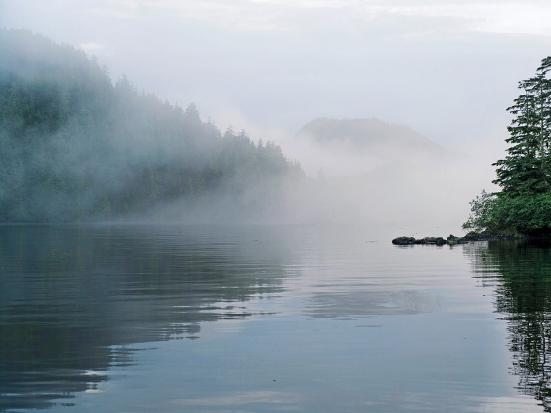 Reflection of trees on water, Skeena-Queen Charlotte Regional District, Haida Gwaii, Graham Island, British Columbia, Canada Reflection of trees on water, Skeena-Queen Charlotte Regional District, Haida Gwaii, Graham Island, British Columbia, Canada