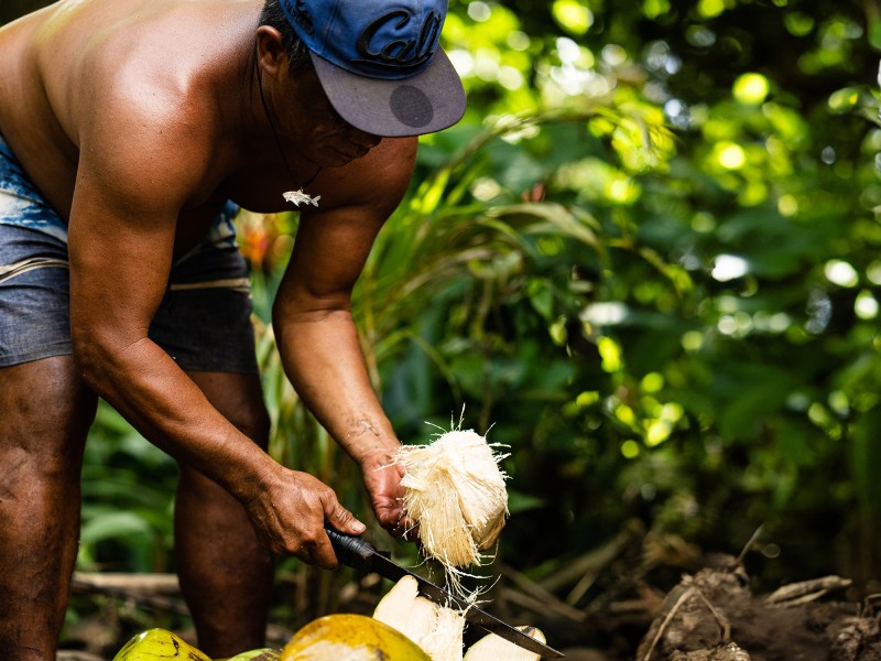 Opening coconuts