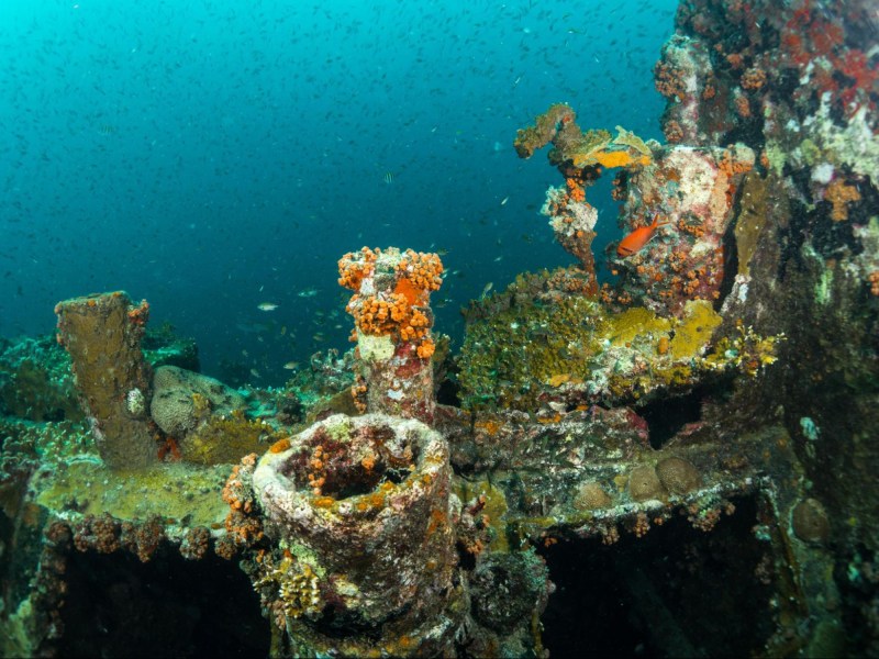 Bianca C shipwreck