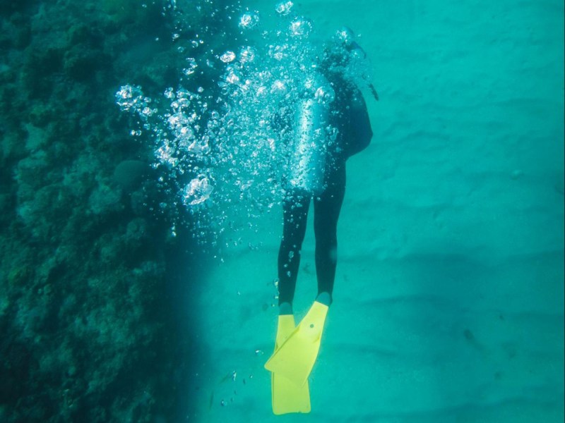 Happy Valley Reef
