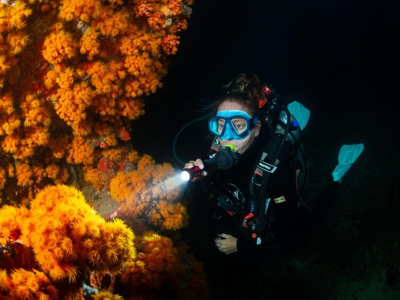 Scuba diving the HV Hema shipwreck