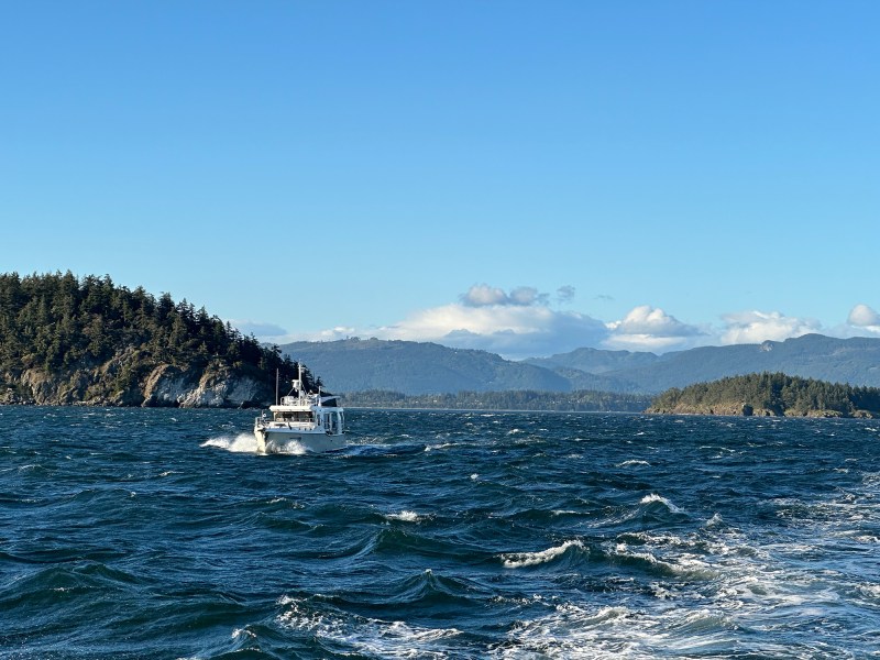 Boat on the water
