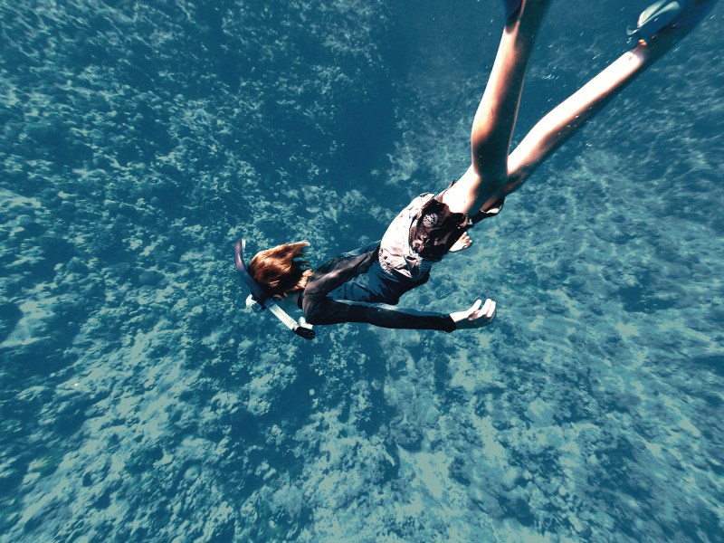 Boy snorkeling in Minerva Reef