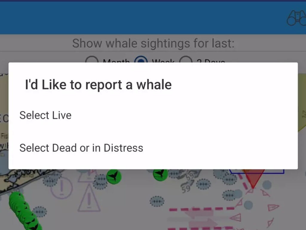 Screenshot of Whale Alert app
