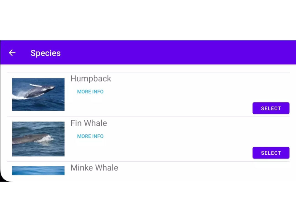 Screenshot of Whale Alert app