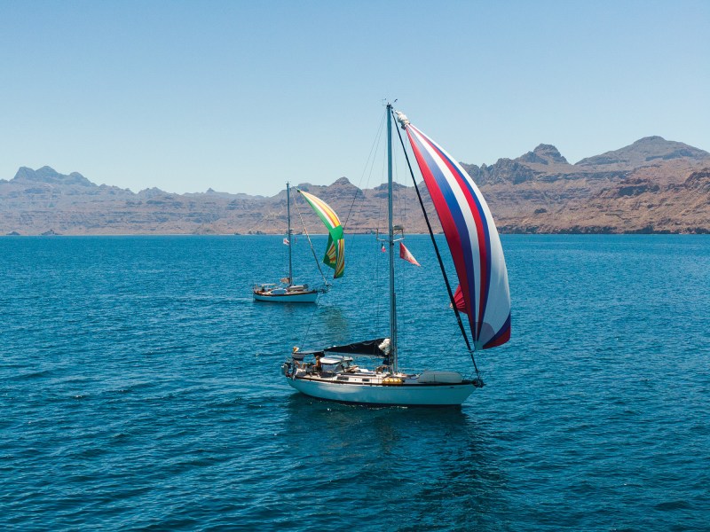 Two sailboats in the pacific