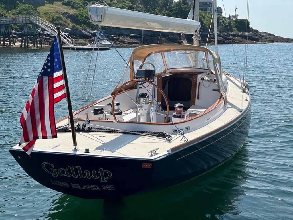 2011 Alerion Express 33 cockpit