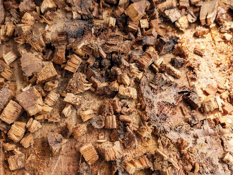 Rotten balsa wood