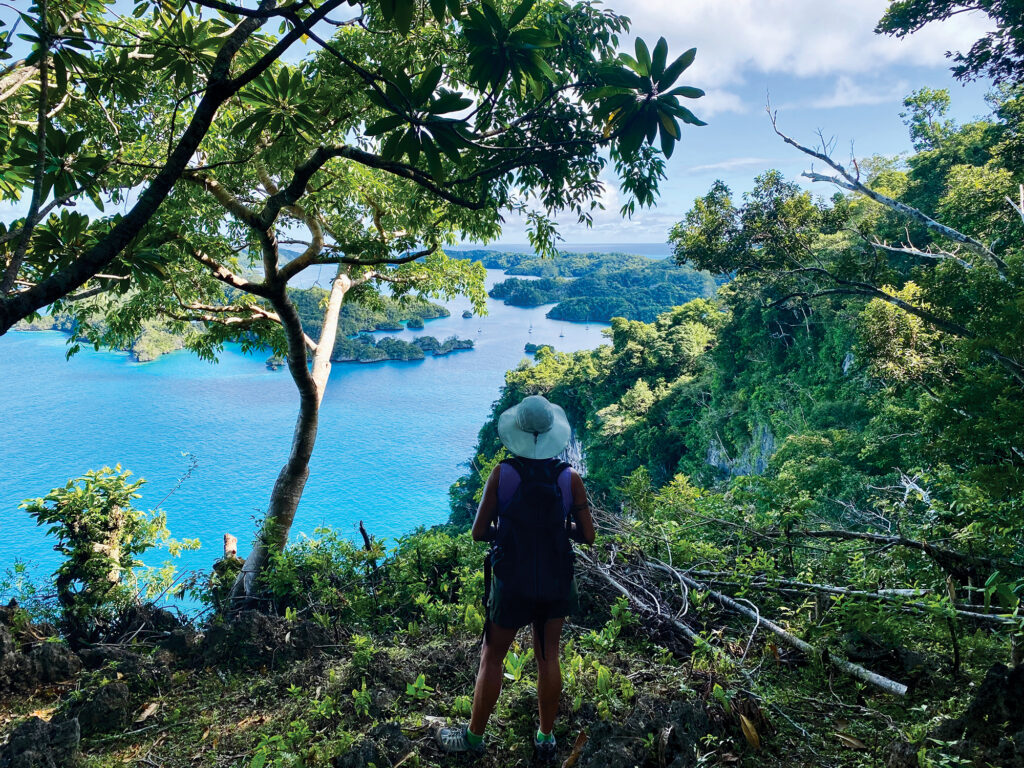 Bay of Islands, Fiji