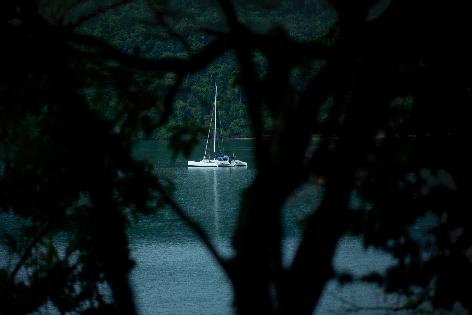 Beyond the Amazon: Why Brazil’s Coastline Captivates Sailors