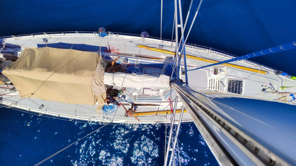 Panexplore Sea Dragon