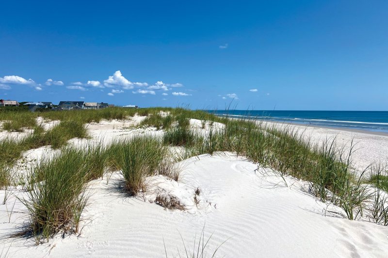 Baldhead-Island-Dunes Bald Head Island
